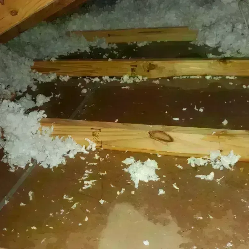 Attic Water Damage in Mountlake Terrace, WA