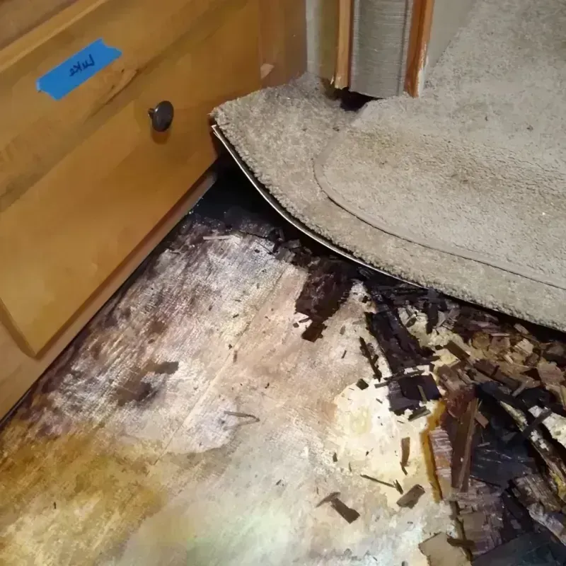 Wood Floor Water Damage in Mountlake Terrace, WA